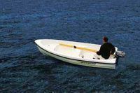 Quicksilver 360 Fish