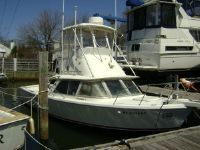 Bertram Fly Bridge Sport Fish