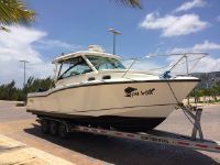 Boston Whaler 315 Conquest