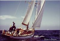Beltrami Classic Sloop