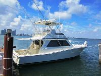 Viking Sportfishing