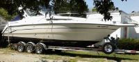 Chaparral 290 Signature (Srg)