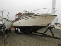 Sea Ray Runabout