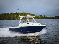 Striper Walkaround 220 Wa