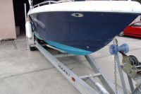 Blue Fin 26