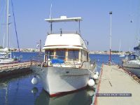 Mandarin 33