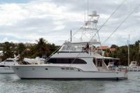 Donzi Open Bridge Sportfish