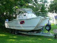 Baha King Cat Baha Cruiser