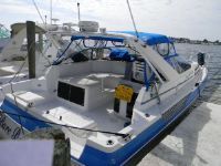 Bayliner 32 Avante