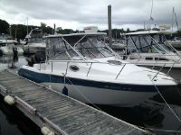 Sea Fox 256Wa Pro Series