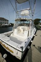 Shamrock (Rampage Hull) 290 Offshore