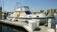 Gulfstar Trawler