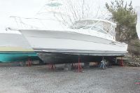 Wellcraft/Riviera 390 Coastal