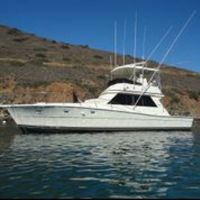 Viking/ Rybovich Convertible