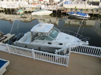 Wellcraft 290 Coastal W/A