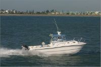 Twin Vee 29' Ocean Cat Express