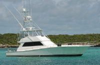 Viking Convertible With Tower