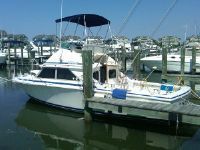 Bertram Sportfisherman