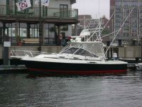 Blackfin Combi 32