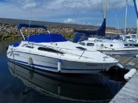 Rinker Fiesta Vee 235
