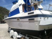 Bayliner 285 Contessa