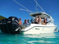 Triton 351 Express - Reduction