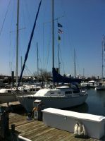 Islander 30