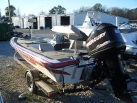 Phoenix 270 Bee Line