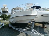 Boston Whaler Revenge