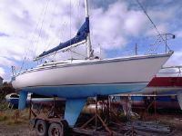 Hunter Hb31