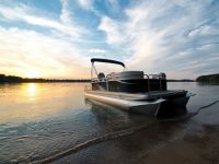 Apex Marine Qwest Ls 818 Xre Fish