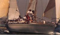 Swan Sloop