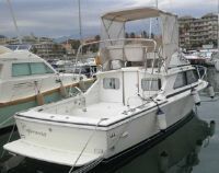 Bertram Yacht Bertram 28 Flybridge