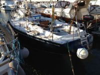 Standfast Franz Maas 40