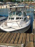 Grady- White 226 Seafarer