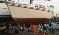 Rebel Starwind 270