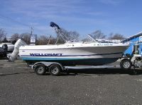 Wellcraft V21