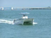 Twin Vee 31' Ocean Cat