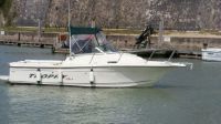 Bayliner 2152 Trophy Wa