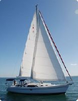 Catalina 385