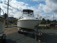 Penn Yann 2500 Shadow