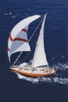 Carlini Modern Classic Cutter
