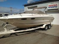 Sea Ray Signature 220
