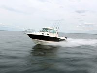 Striper Walkaround 2901 Wa