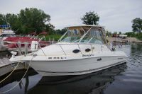 Wellcraft 270 Coastal I/O