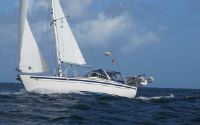 Malo Classic 37