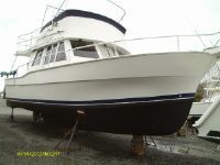 Mainship 350/390Trawler