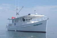 Custom Trawler Biloxi Lugger