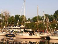 Paceship 29
