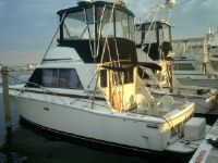 Bertram Sedan Flybridge